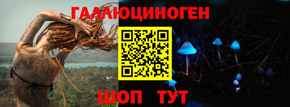 Псилоцибиновые грибы Psilocybine cubensis Наро-Фоминск